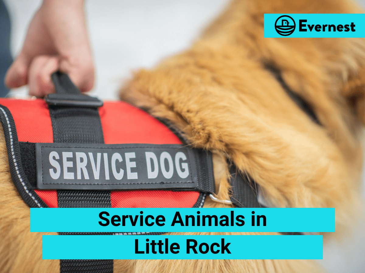 Service Animals: Everything Landlords Need to Know in Little Rock, Arkansas
